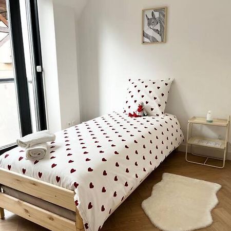 Cocon D'Alsace Apartment Colmar Exterior foto