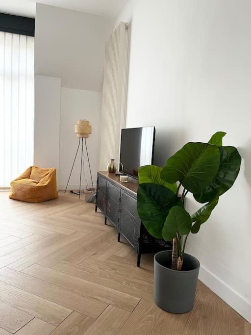 Cocon D'Alsace Apartment Colmar Exterior foto